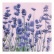 Stewo servítky (3-vrst. 33x33 cm), levanduľa, Violet