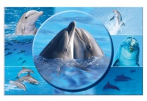 Herma podložka na stôl, obojstranná 55x35 cm, delfíny