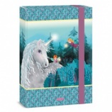 Ars Una A4 box na zošity Stardust (5258) 23